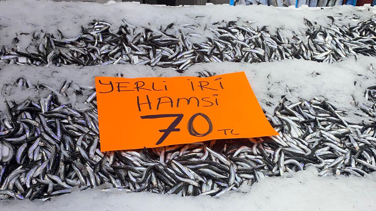 hamsi-aa-2409496.jpg