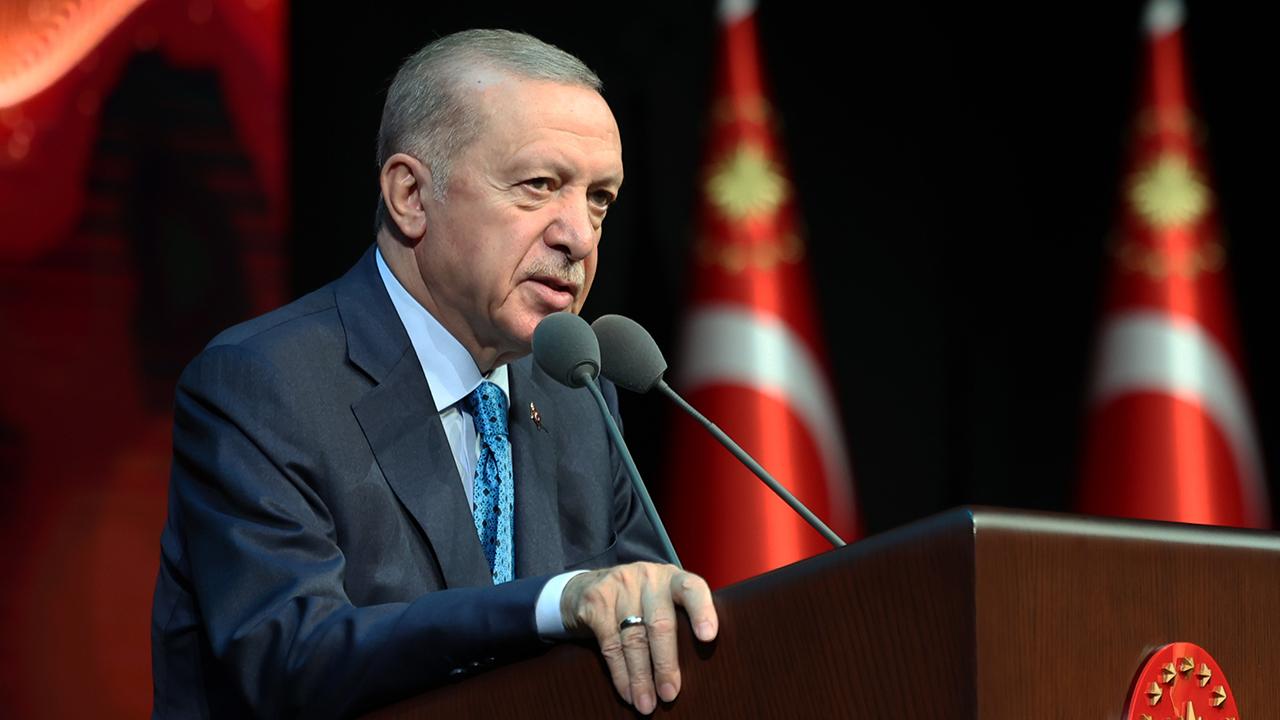 erdogan-2287447.jpg