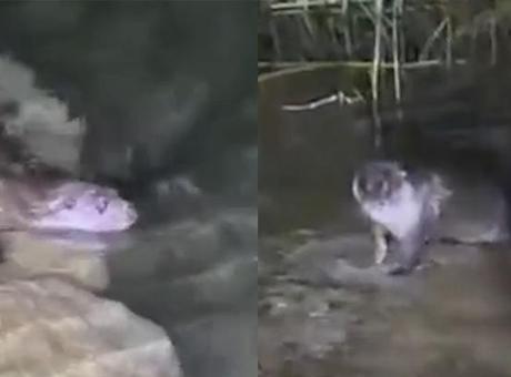 68f5f0f5af6c89f5a1faf334.jpg