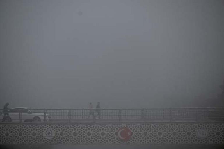 68f1fb5436206bb89d502f01.jpg