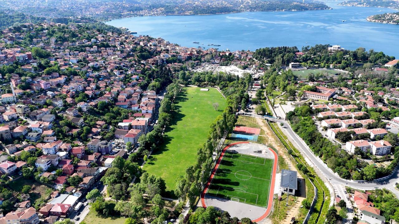 millet-bahcesi-dha-2364971.jpg