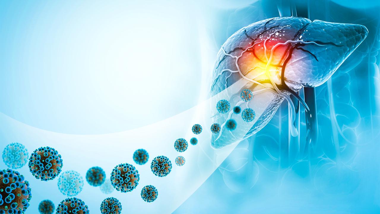 hepatit-2384540.jpg