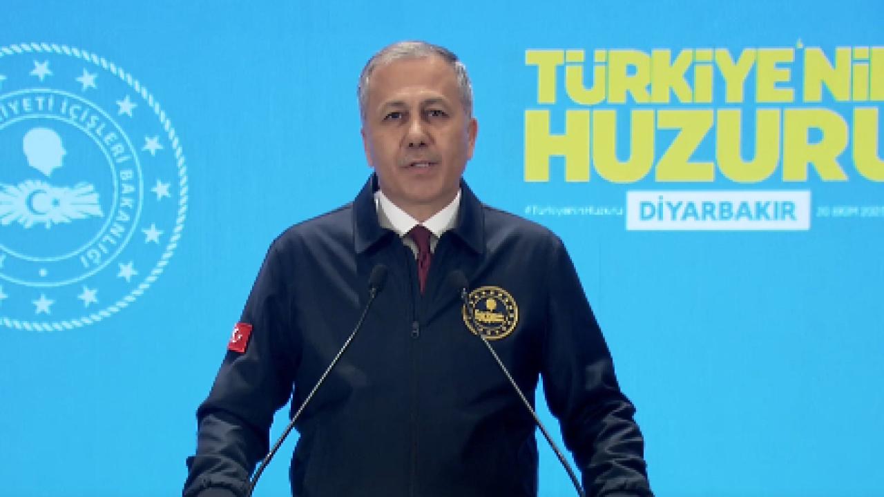 ali-yerlikaya-2409389.jpg