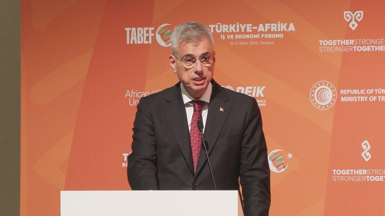 memisoglu-2408508.jpg