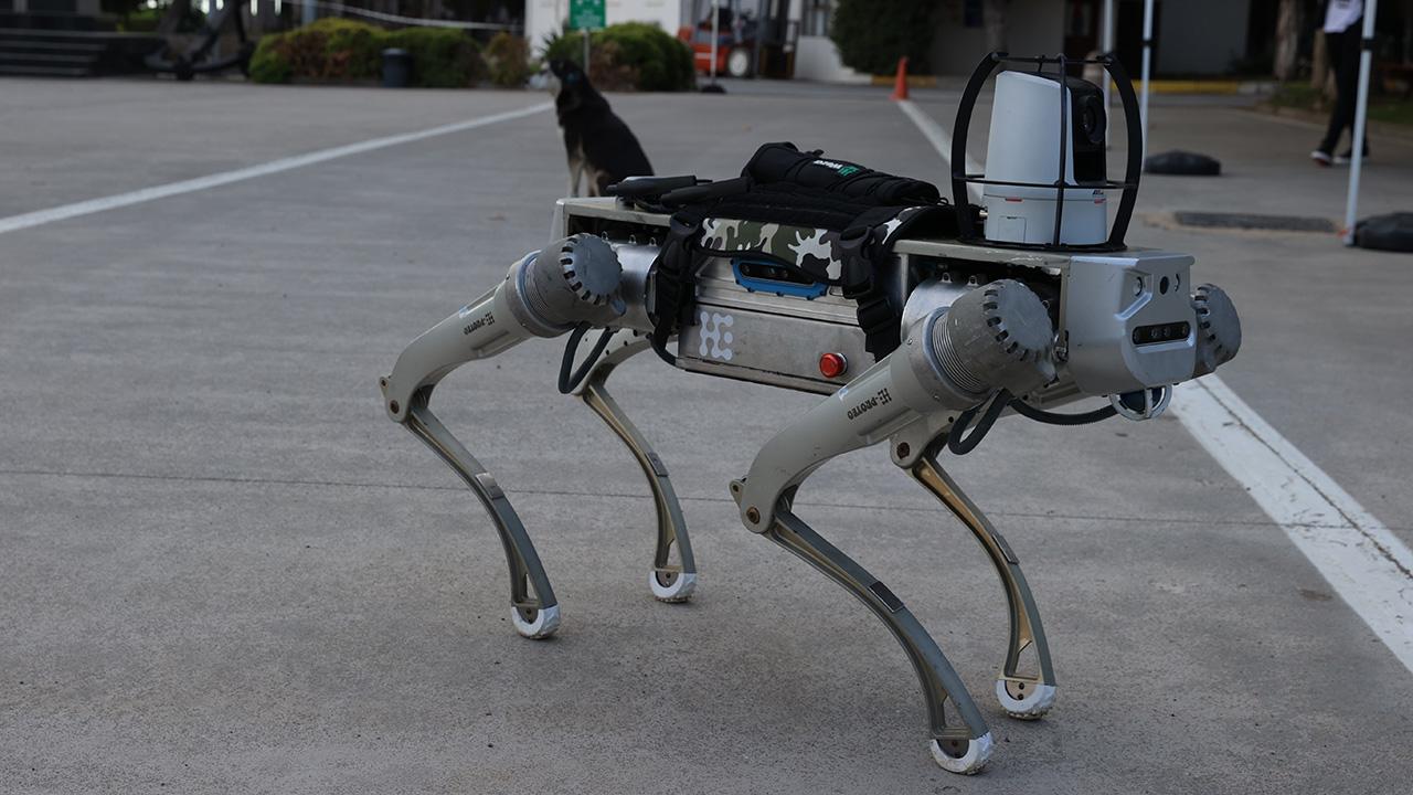 robot-kopek-proteo-aa-2409119.jpg