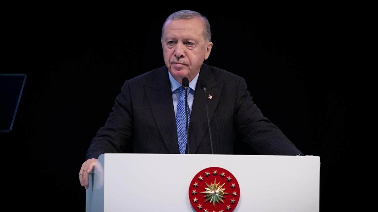 erdogan-2412052.jpg